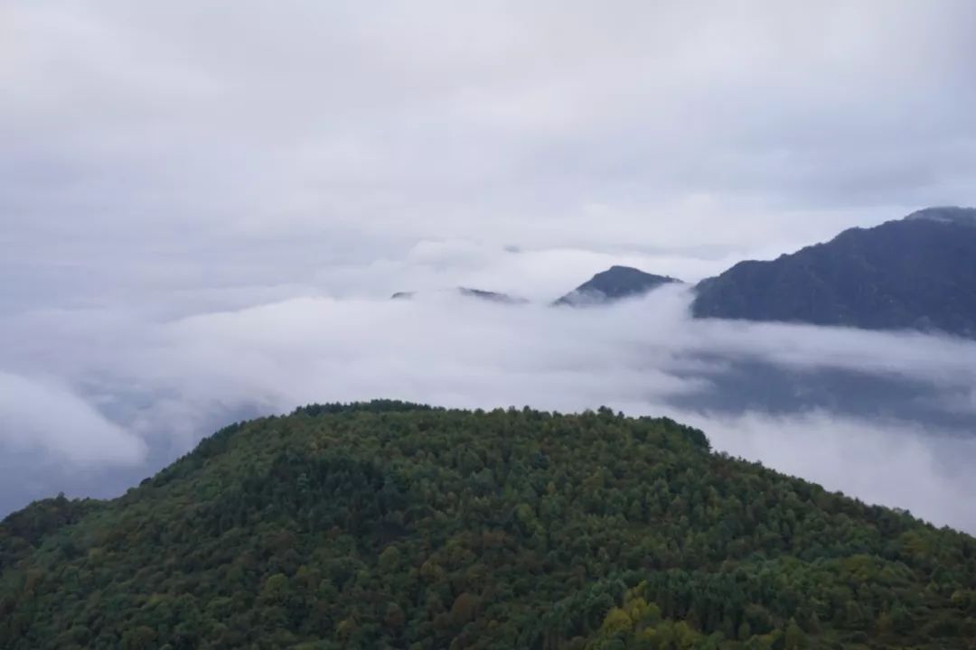 水上漂浮教堂，180°雪景森林溫泉，地圖上都搜不到的山海秘境，歷時三年終於等到你！ 旅遊 第9張