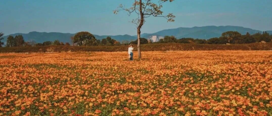5000年前的奇景，只有1%的人到访！油画般的暖冬，不出国就能拥有