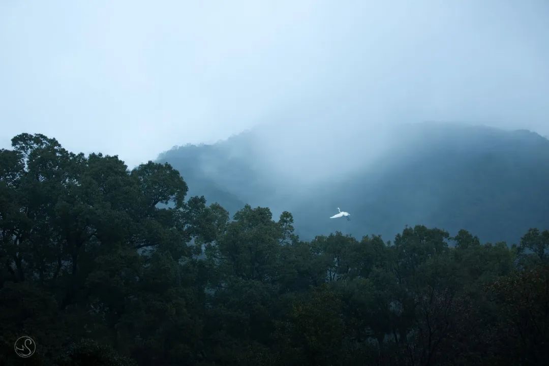 比九寨溝更清涼！這個高鐵0.5h直達的神仙山水小城，火爆了今年一整個夏天，現在去還不晚！ 旅遊 第14張