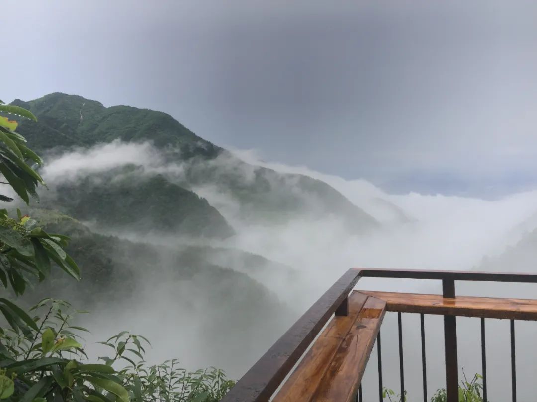 浙南天空之城，最後的江南秘境！雲海中的懸崖古村落，看梯田竹海，賞山巔秋色 旅遊 第10張