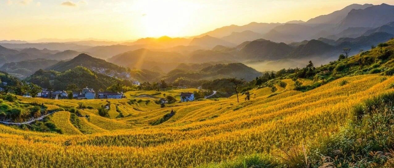 比莫干山更仙，云海梯田、山巅银河星空超惊艳！这个新挖到的冷门宝藏小城，秋色正美趁未火赶紧去！