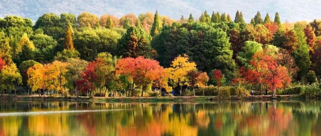 整个朋友圈都在等！这座江南小城一入秋美成了油画，最后一波秋色上线，即将迎来颜值巅峰！