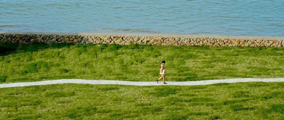 开渔季来了！驱车直达“国内小镰仓”！水清沙幼电影同款海滩，肥美海鲜好吃到上头！