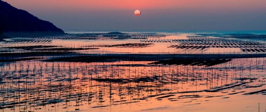 去温暖的地方过冬天！这个频繁上榜国家地理的宝藏省份，日均温26℃，正当海鲜肥美季!