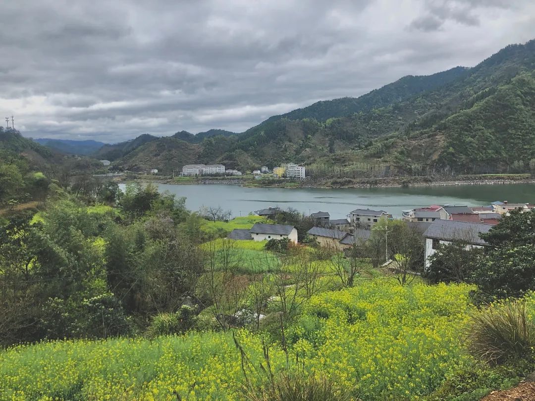 首發！帶娃睡進千島湖清幽和風庭院，溯溪戲水摘果，露臺西式燒烤夏日絕配 旅遊 第57張