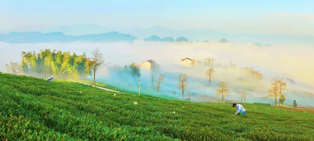 斥资打造山谷神仙树屋！270°躺看山峦云海，玩水溯溪过清凉夏天，家门口神仙度假地！