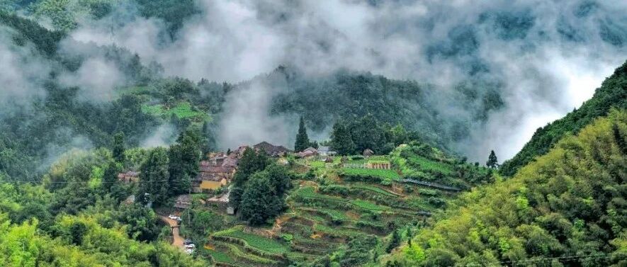 免费睡！CNN一眼相中的江南秘境，枕云海星空入睡，270°直面山谷竹海，千年古村落此生必去！