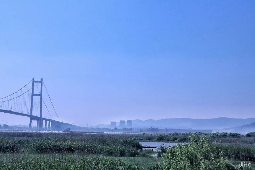 小孩撒歡玩童趣摘水果，大人喝茶垂釣解暑氣，無工業城市後花園民宿等你睡 旅行 第3張