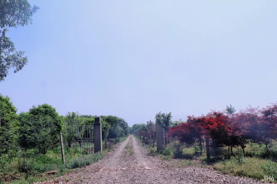 小孩撒歡玩童趣摘水果，大人喝茶垂釣解暑氣，無工業城市後花園民宿等你睡 旅行 第17張