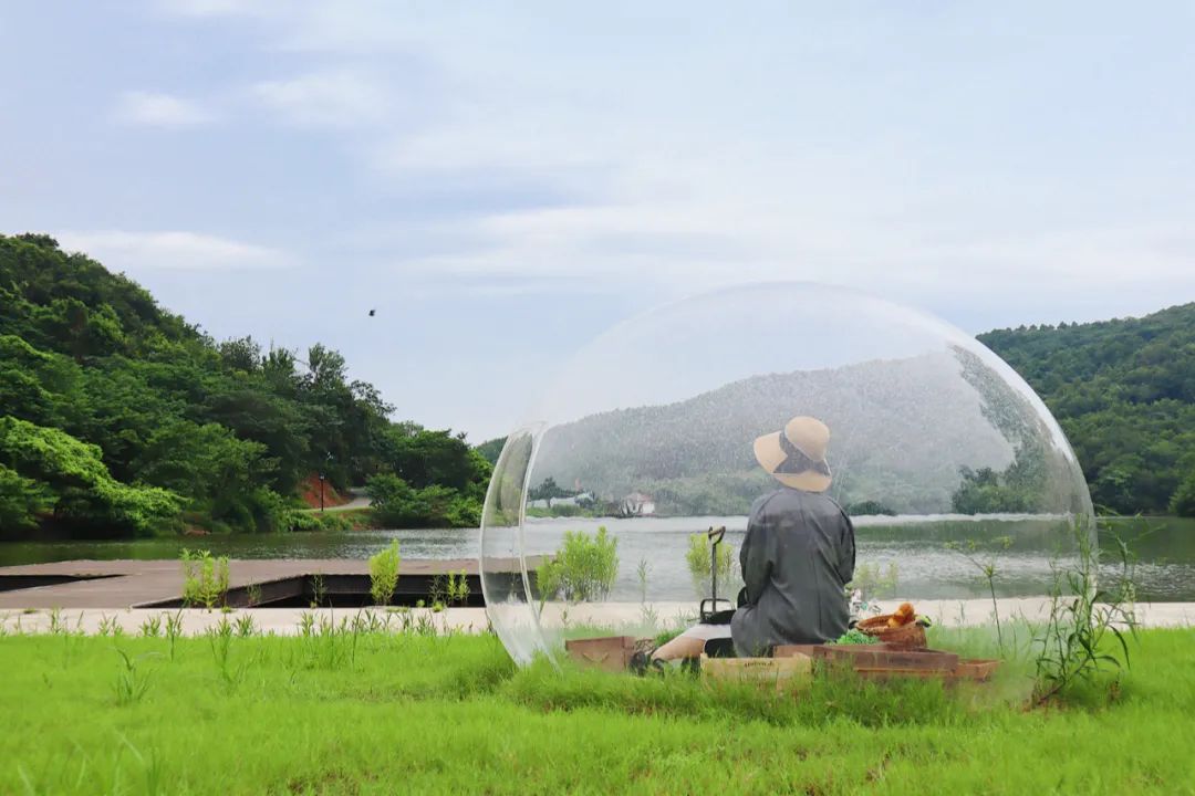 不用去紐西蘭！哈比人夢幻童話村，占地2500畝打造現實版「桃花源」，來過的人都不想走！ 旅遊 第14張