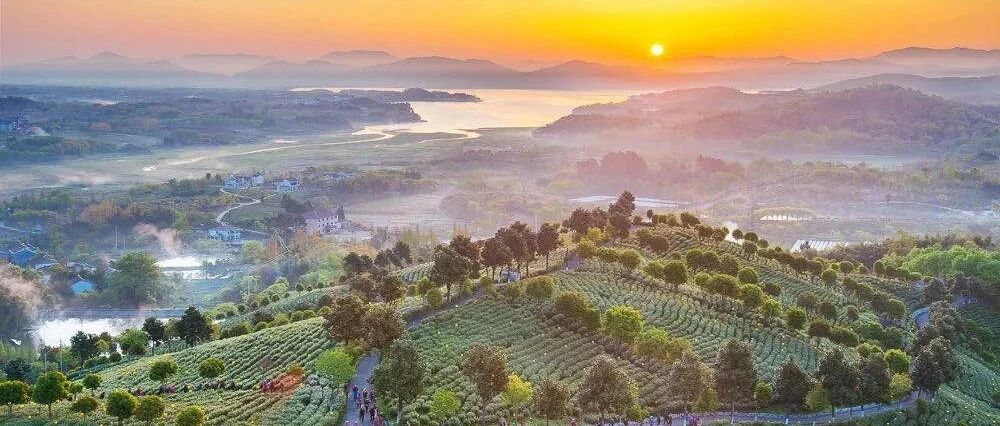 又被江苏圈粉了！高铁45min直达宝藏小城，美食几度登《舌尖》，好风景不用门票，终于要火了！