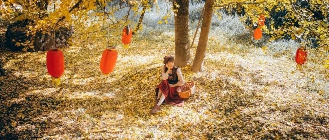 一年只美20天的神仙赏秋地！银杏美了千年却被99％的人忽略，即将迎来颜值巅峰，马上要大火！