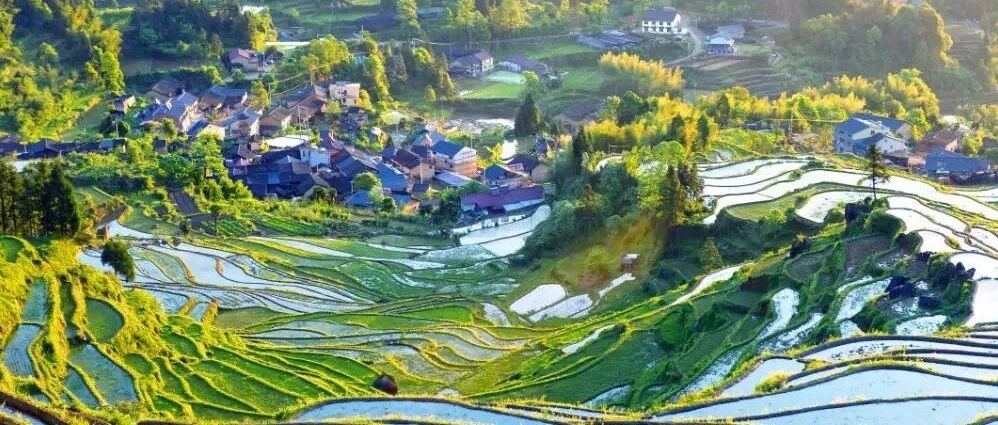 此生必睡!被CNN一眼相中的江南秘境，左手云海右手梯田，萤火虫海颜值开挂，高铁直