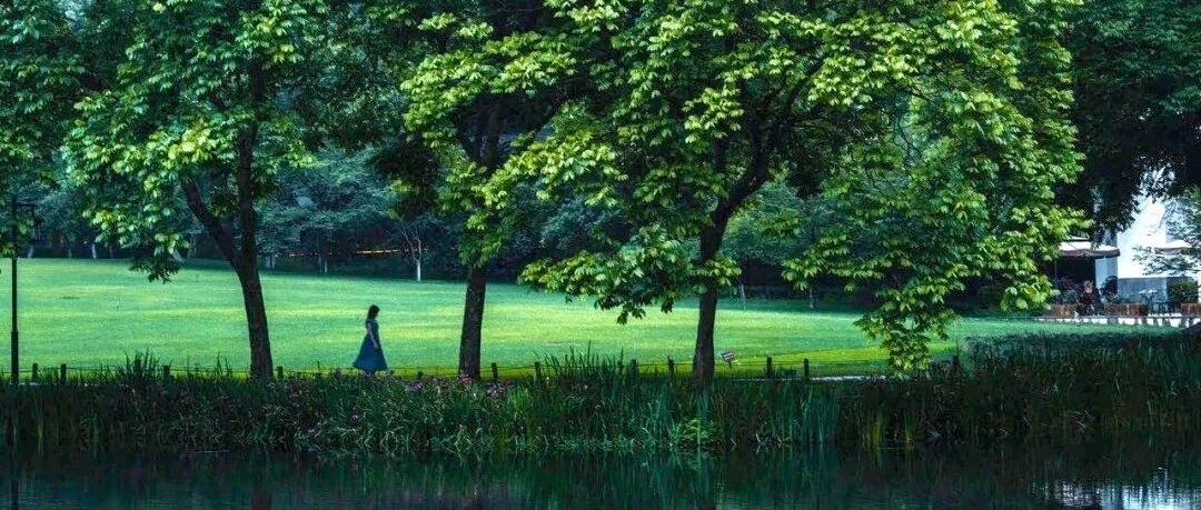 避开人潮私享春色！春天最惊艳的样子，就藏在这个低调小众的度假小城里……