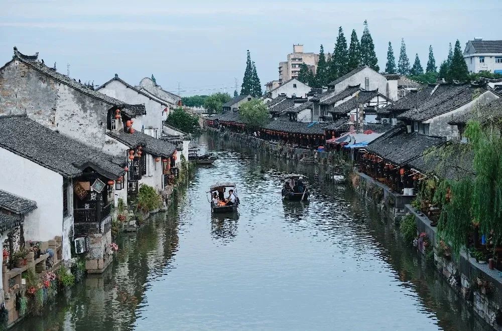 《三十而已》神仙取景地大曝光！高鐵20min直達顧佳同款絕美茶山，又一個寶藏地要火了！ 旅遊 第55張