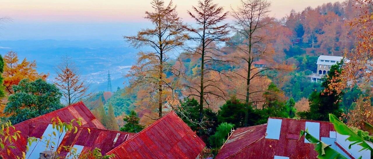 不去莫干山，都不知道秋天可以这么美！油画般的秋色，隐在红枫银杏中的老洋房，现在迎来最佳观赏期！