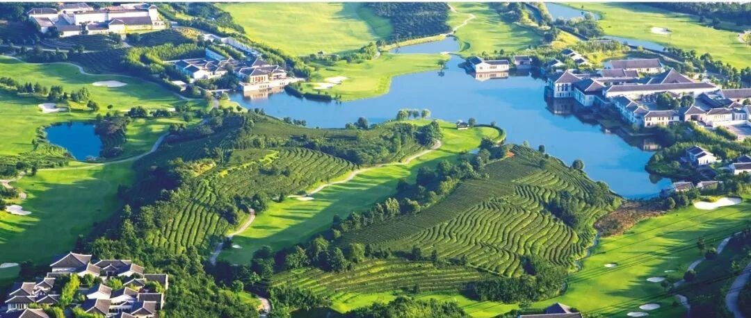 除了云南,浙江也有惊世的绝色山水! 绿肺之都,暖春已至,外交部发言人都为它打call~