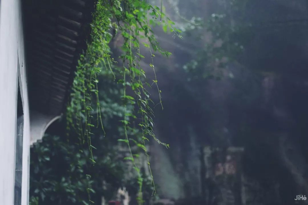 一年260天雲霧繚繞，500畝親子營地盡情撒歡，漂流騎馬去山裡找回夏天的童趣！ 旅遊 第13張