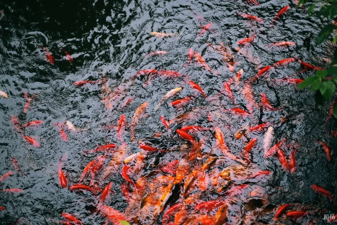 一年260天雲霧繚繞，500畝親子營地盡情撒歡，漂流騎馬去山裡找回夏天的童趣！ 旅遊 第23張