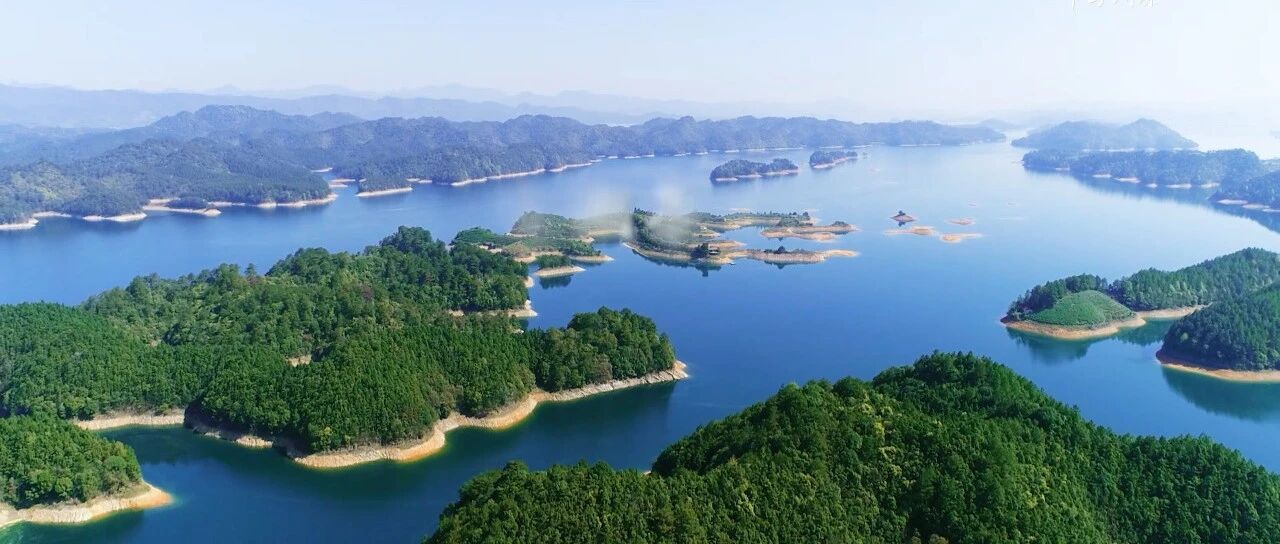 这可能是千岛湖最后一片净土!水清人少媲美毛里求斯，湖上茶园避世秘境，五一有房快抢
