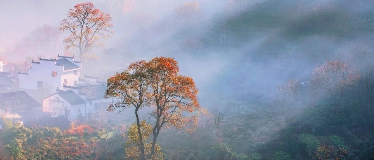 被央视点赞的神仙秋色，一年只美20天！国内最极致赏枫圣地，今年最后一波赏秋千万别错过！
