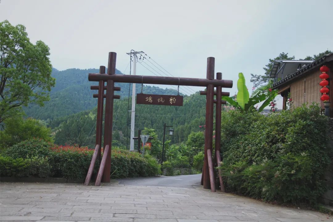 首發！帶娃睡進千島湖清幽和風庭院，溯溪戲水摘果，露臺西式燒烤夏日絕配 旅遊 第12張