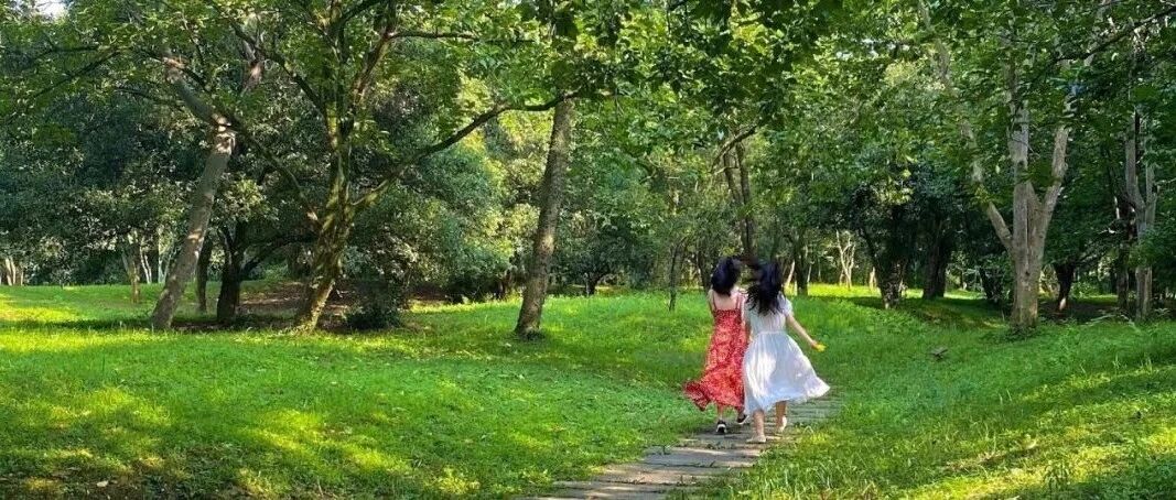 日本奈良、冰岛、希腊、韩国济州岛…杭州这10个神仙拍照地，让你不出国分分钟玩遍全世界！