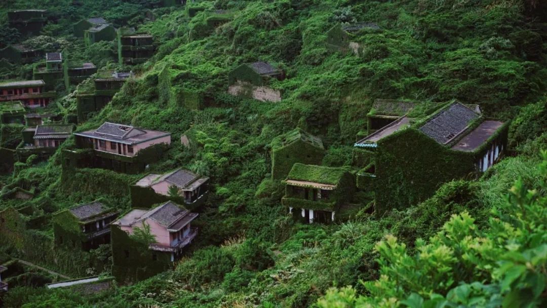 不是馬爾蒂夫，不是薄荷島，這座今夏超仙的海島就在國內！人少景美，海鮮好吃到上頭 旅遊 第46張