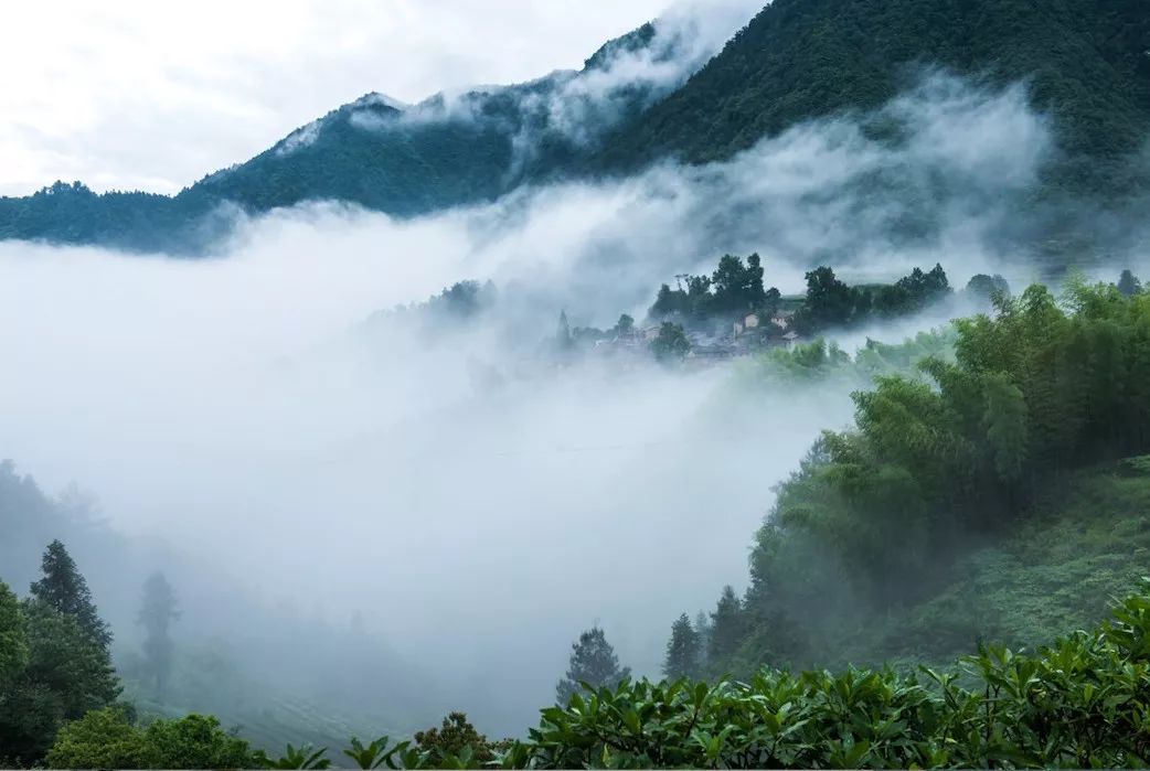 秋冬季出遊必囤清單，火速收藏！睡進景區賞桂花紅楓，溫泉泡湯也提上日程！ 旅遊 第92張