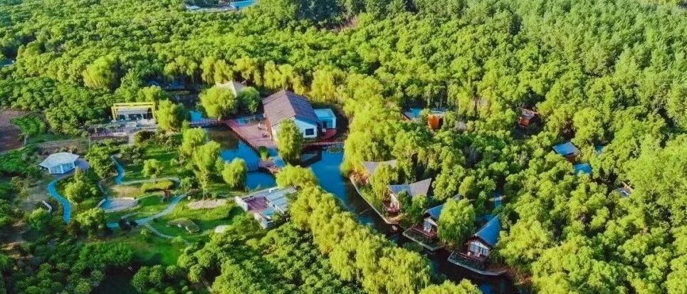 媲美裸心谷的野奢酒店，120000㎡ 森林里尽情撒欢！泡地底直采真温泉，沉醉于秋风里品太湖大闸蟹喂松鼠