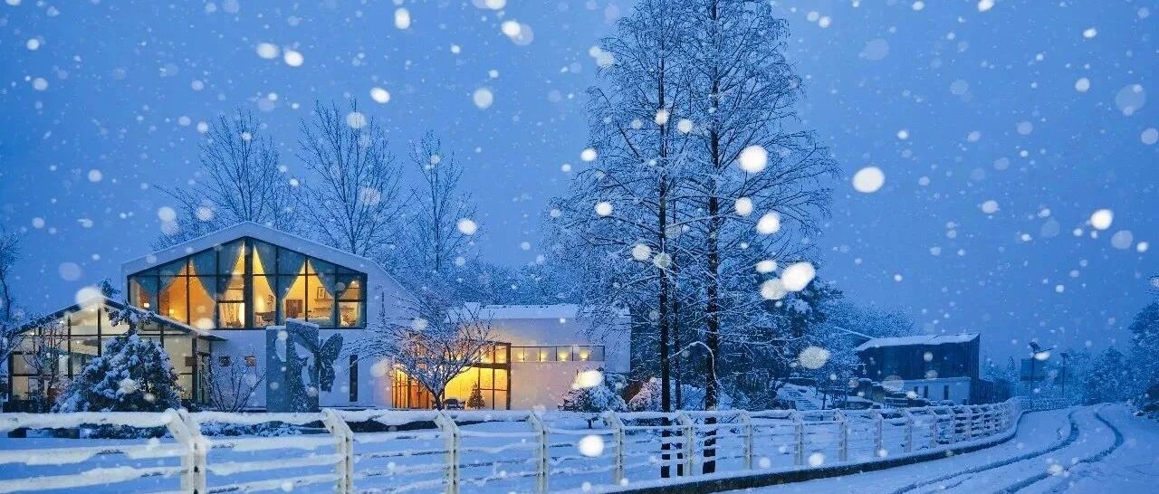 跨年去莫干山看雪！火遍朋友圈的雪景，不输北欧，美得不似人间......