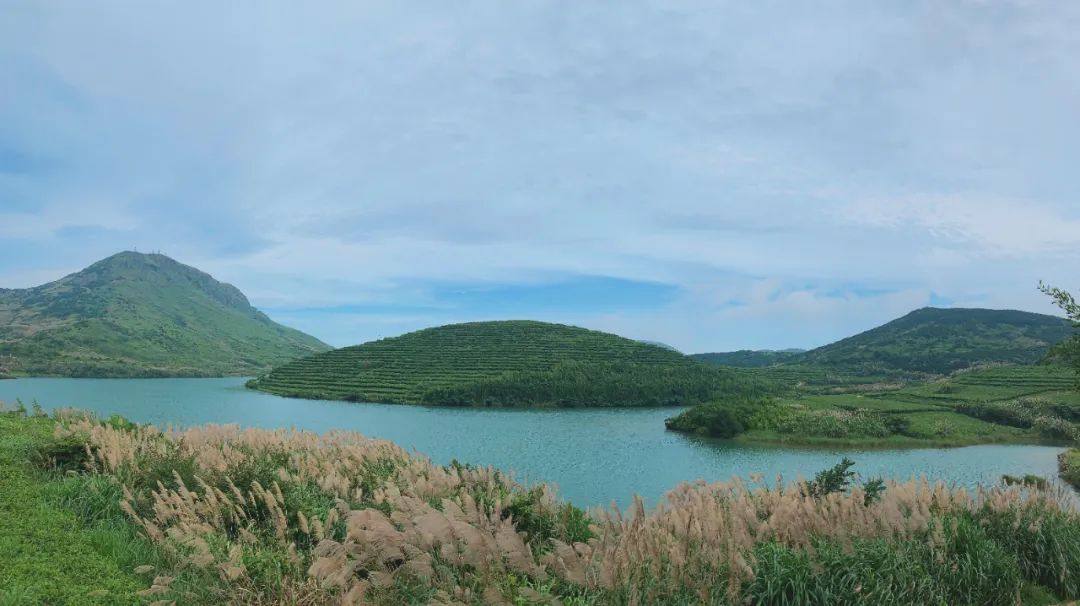 國內有座秘境海島，一到夏天美成呼倫貝爾！萬畝海上大草原，美哭了卻鮮有人知 旅遊 第12張