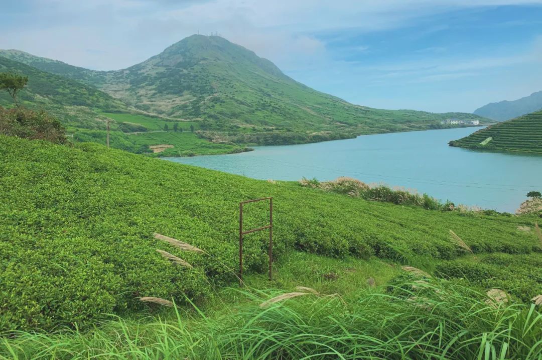 國內有座秘境海島，一到夏天美成呼倫貝爾！萬畝海上大草原，美哭了卻鮮有人知 旅遊 第11張