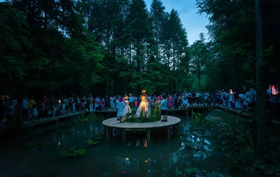 美炸！莫幹山3000㎡螢火蟲秘境媲美紐西蘭，帶娃避暑看長頸鹿喂小羊，逛夏日最美市集 旅遊 第8張