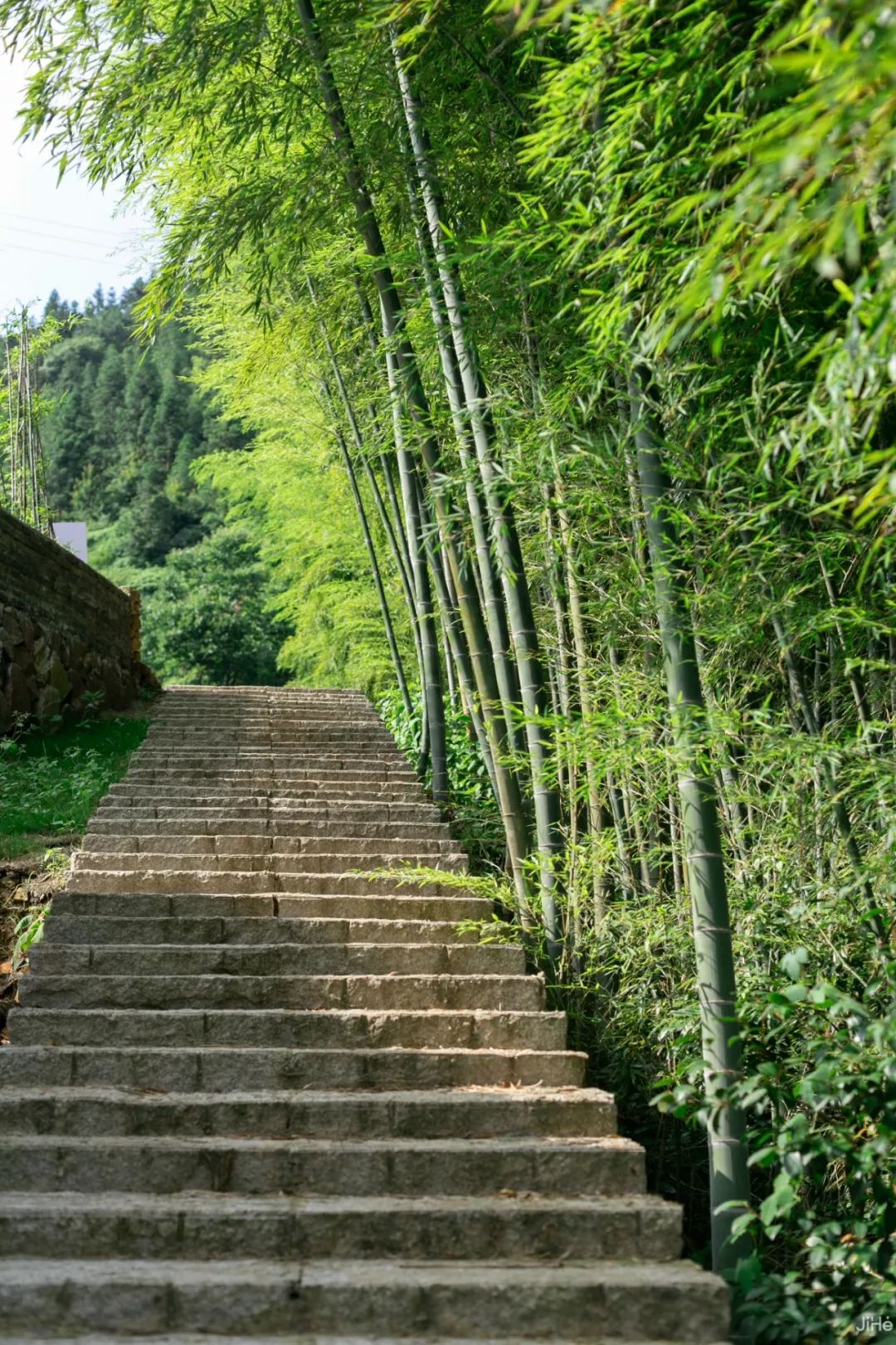 高鐵1.5h睡進浙南「小京都」，800米山巔泳池躺看雲海，日式智能家居房摘星而眠 旅遊 第16張