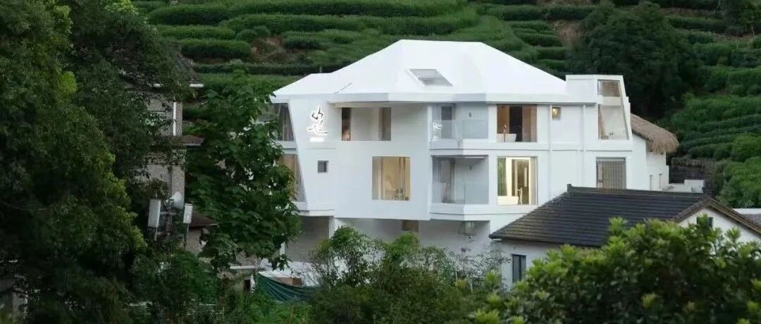 杭州民宿圈又一新作！270°落地玻璃躺看茶园，私享西湖边避世秘境，神仙设计圈粉无数！