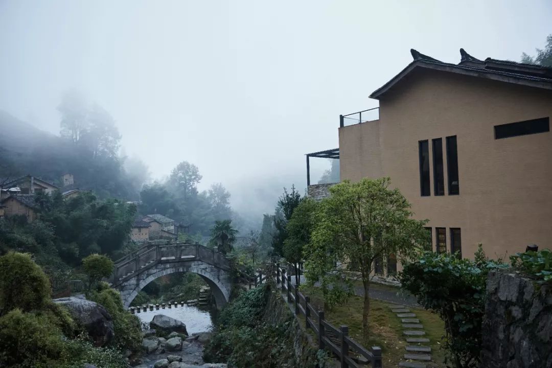 浙南雲端裡的烏托邦，800米山澗茶館、酒吧隔溪望，待到冬日美成小瑞士，私藏！ 旅遊 第13張