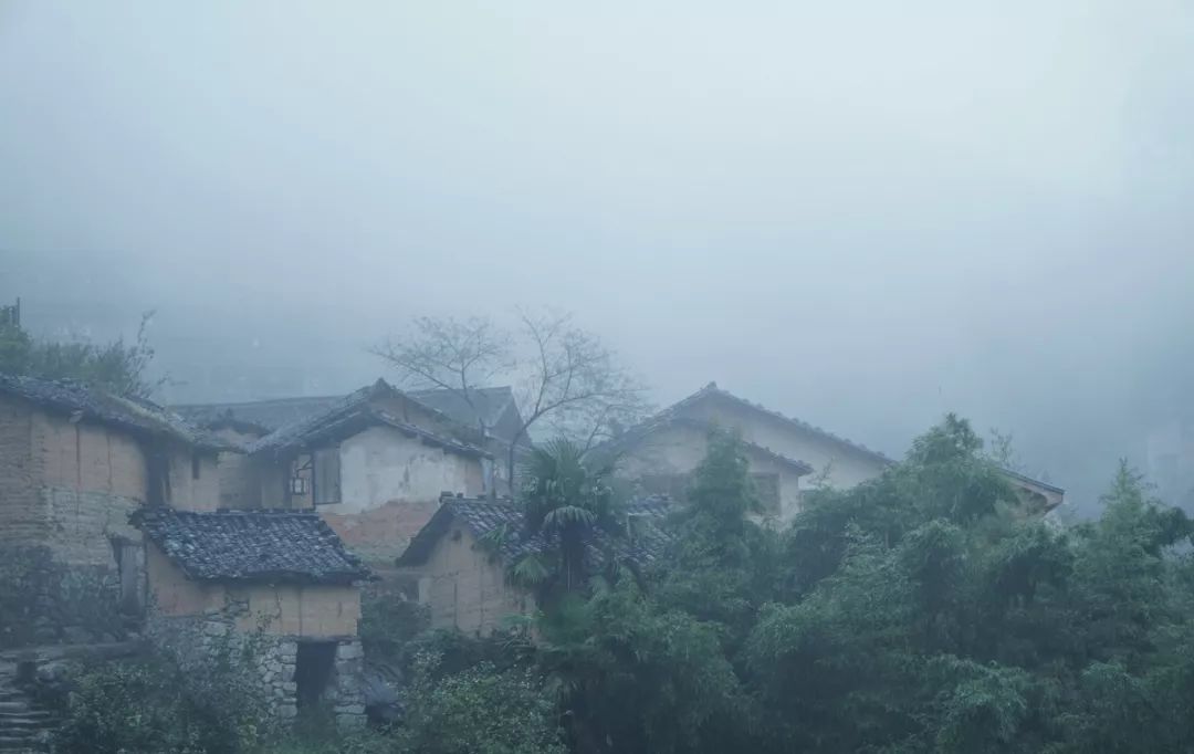 浙南雲端裡的烏托邦，800米山澗茶館、酒吧隔溪望，待到冬日美成小瑞士，私藏！ 旅遊 第20張