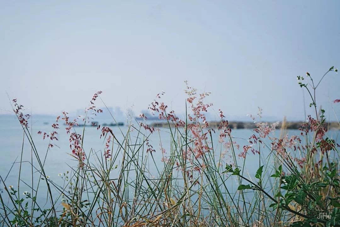 去海邊吧！25°暖風趕海逐浪，我在南方海上的小白屋實現海鮮自由啦！ 旅遊 第9張