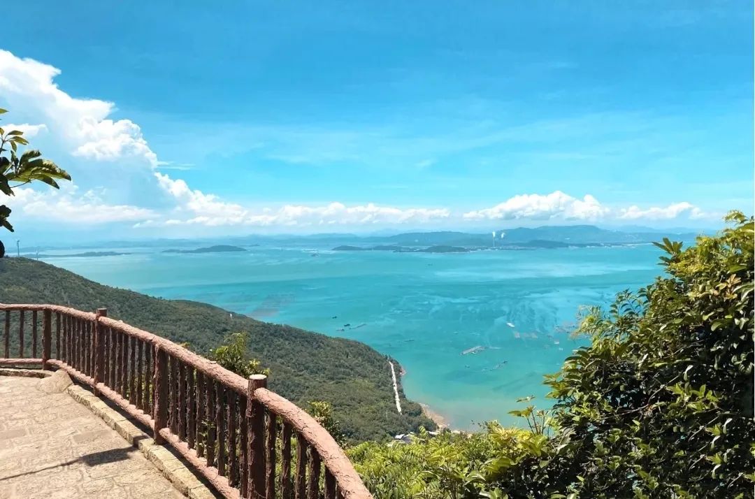 別往三亞紮堆了！這個高鐵直達的神仙海島，媲美夏威夷，不輸馬爾蒂夫，人少景美，夢幻熒光海好驚艷！ 旅遊 第26張