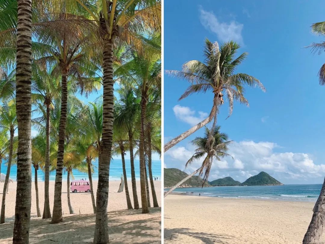 別往三亞紮堆了！這個高鐵直達的神仙海島，媲美夏威夷，不輸馬爾蒂夫，人少景美，夢幻熒光海好驚艷！ 旅遊 第3張