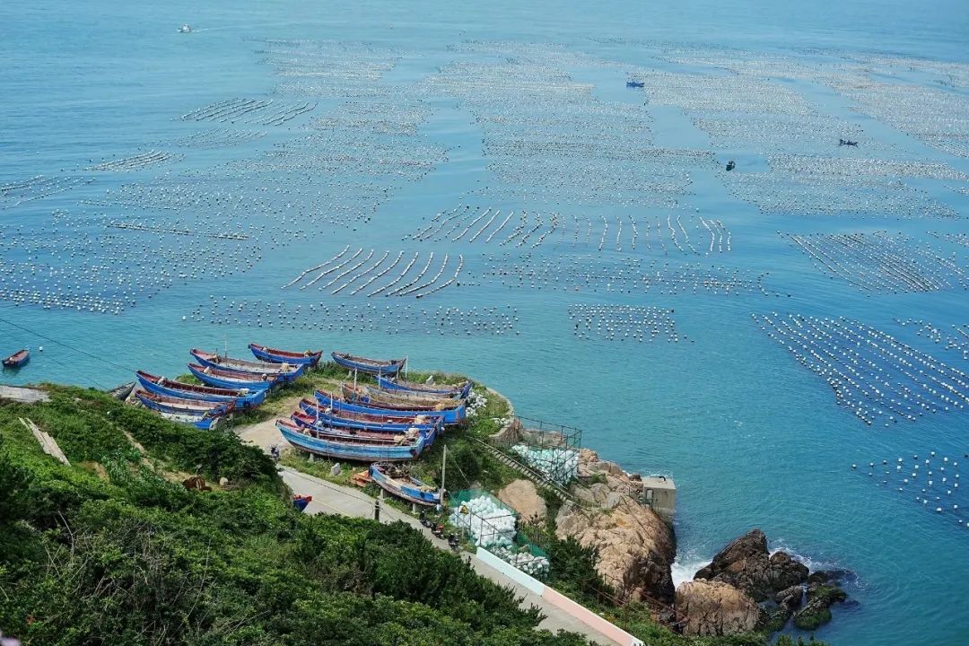 別往三亞紮堆了！這個高鐵直達的神仙海島，媲美夏威夷，不輸馬爾蒂夫，人少景美，夢幻熒光海好驚艷！ 旅遊 第29張