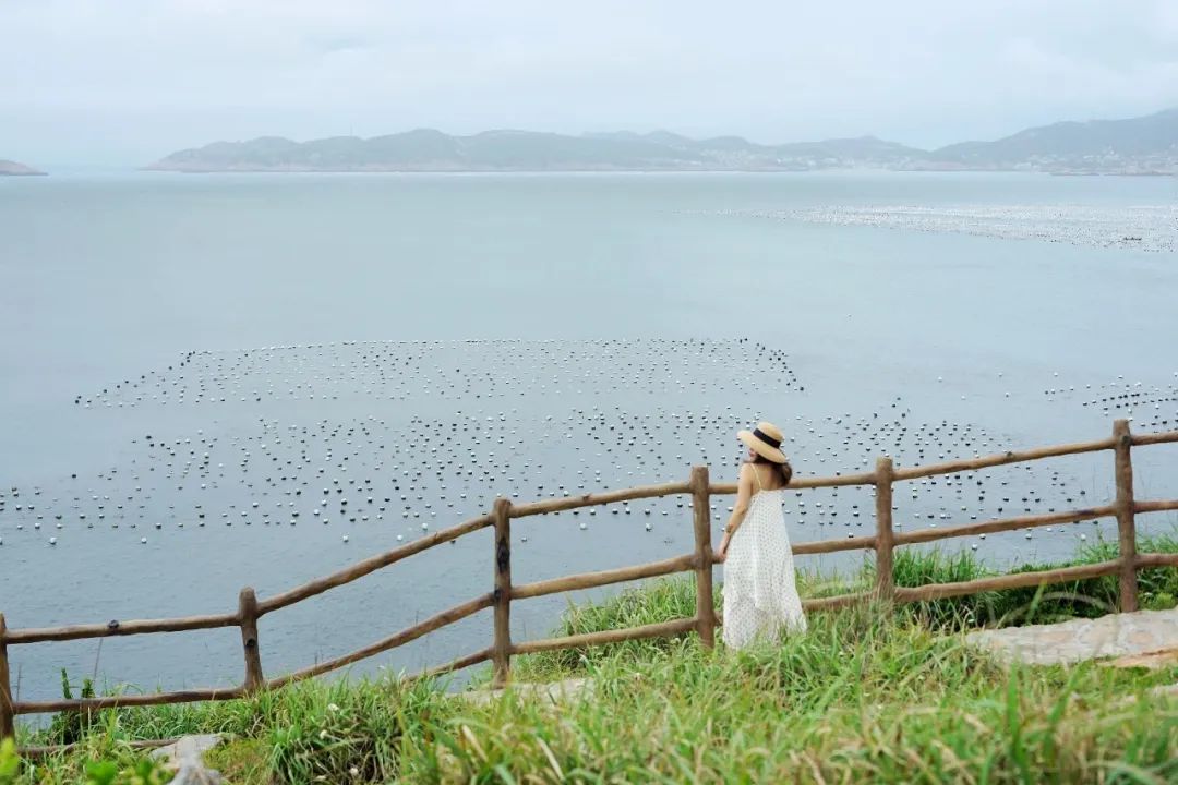 別往三亞紮堆了！這個高鐵直達的神仙海島，媲美夏威夷，不輸馬爾蒂夫，人少景美，夢幻熒光海好驚艷！ 旅遊 第55張