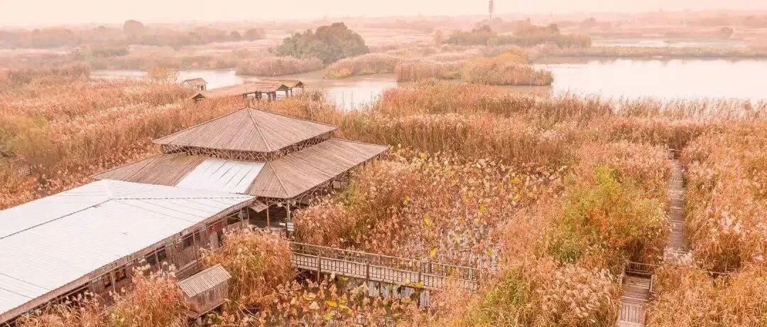 别只知道莫干山了！德清还藏着这片天堂，入冬后美如画，小众奢华酒店解锁温暖度假方式
