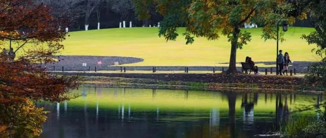 杭州全域低风险，解禁后美出新高度！只有本地人才知道的经典玩法，现在景美人少快去！
