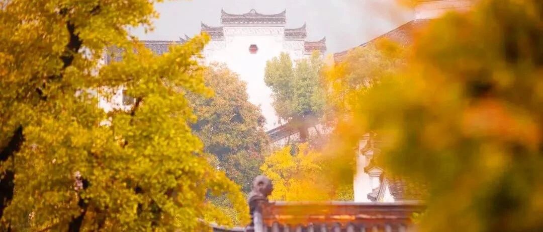 秋冬泡汤好处这么多？比南京安静，比婺源秀美，百年银杏包围的江南天然温泉乡，秋景一绝！