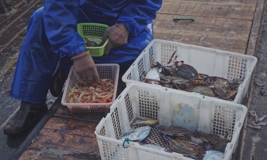 浙江這座被上天開了後門的城市，大海高山森林美食RMB都不缺，睡5間民宿玩轉ta！ 旅遊 第16張