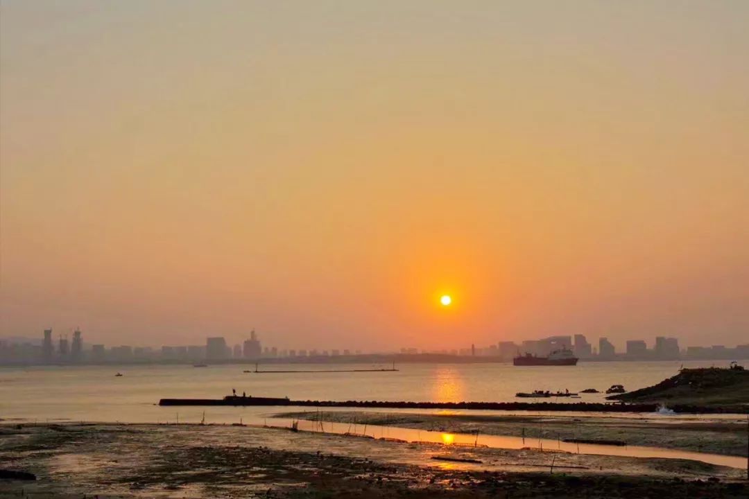 去海邊吧！25°暖風趕海逐浪，我在南方海上的小白屋實現海鮮自由啦！ 旅遊 第42張