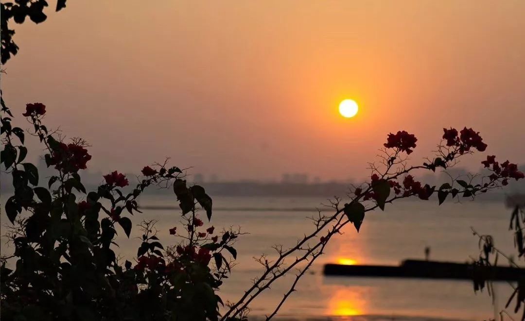 去海邊吧！25°暖風趕海逐浪，我在南方海上的小白屋實現海鮮自由啦！ 旅遊 第43張