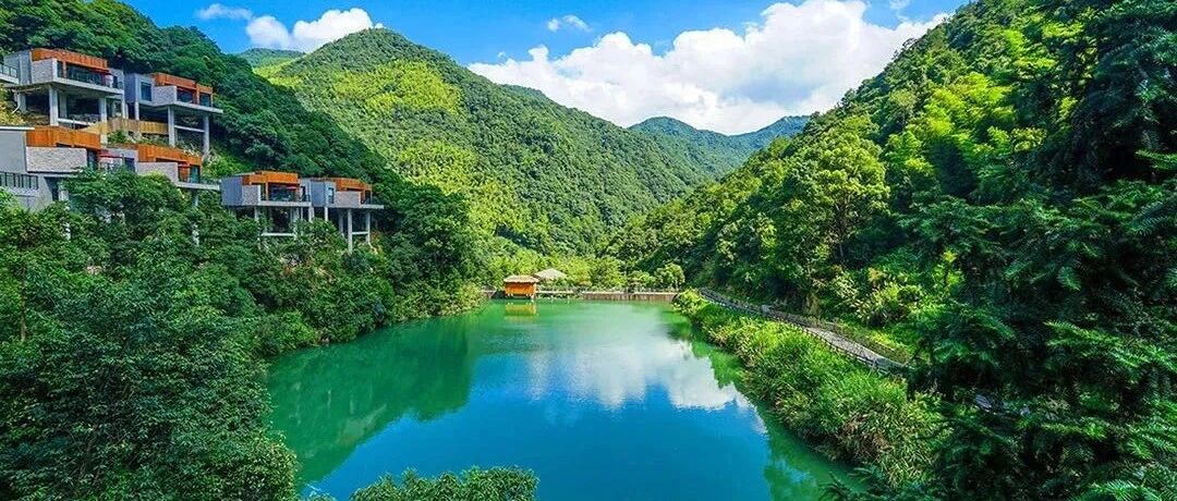 江浙沪新晋避暑仙境，高铁2h直达！乘船入住森林环绕，承包山谷竹海，私享轻奢避世度假~